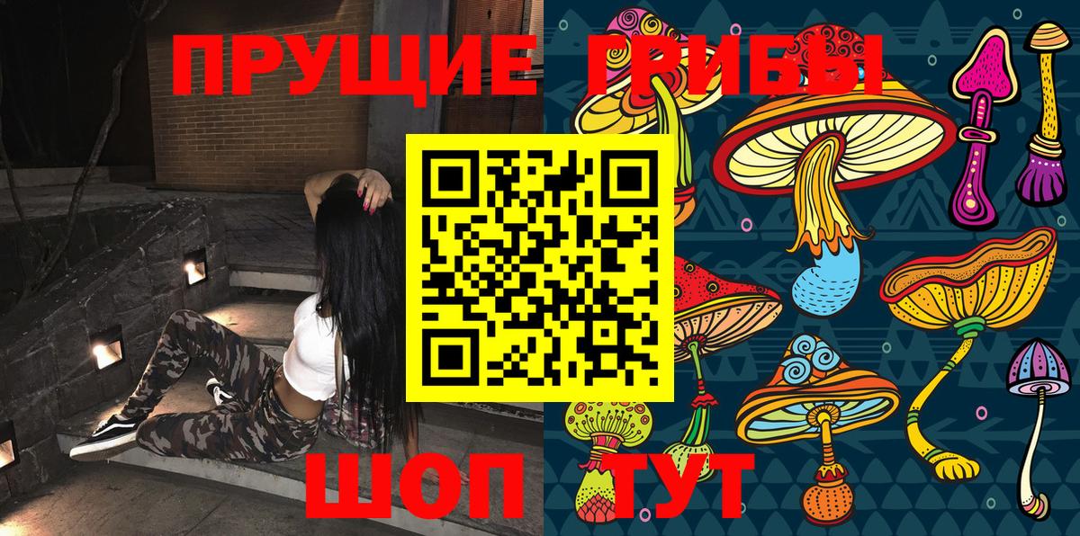 Галлюциногенные грибы Psilocybe  Вход с VPN  Ярцево 