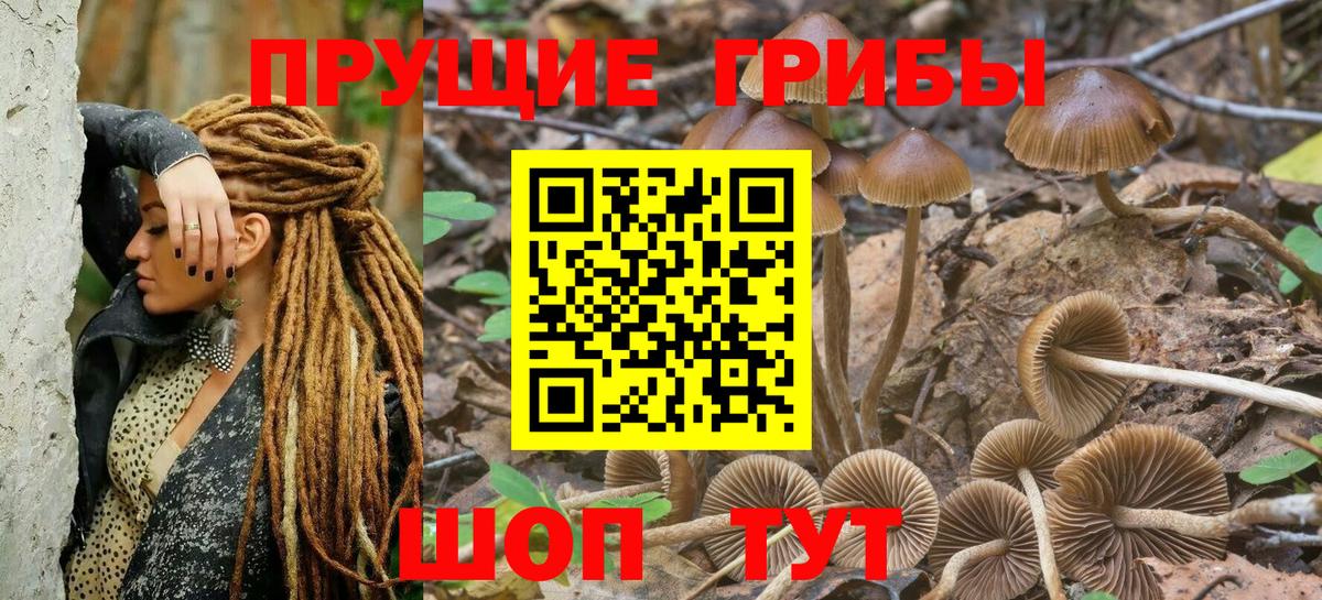 Псилоцибиновые грибы прущие грибы Ярцево